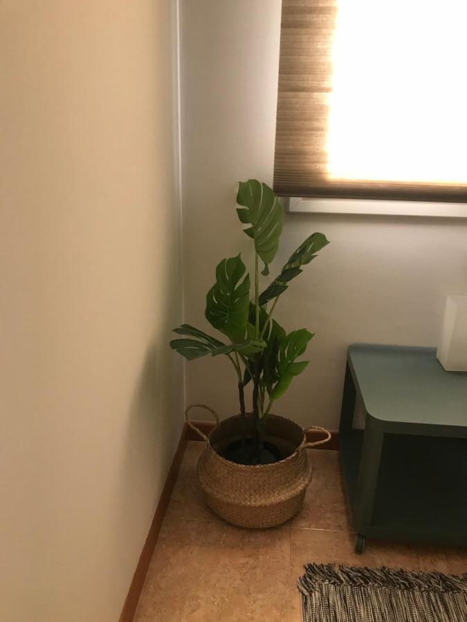 Apartamento Recien Reformado Con Vistas Al Rio バラゲー エクステリア 写真